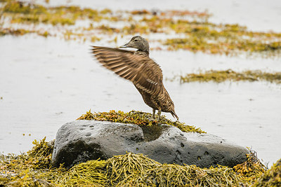 BUITEN BEELD Foto: 224657