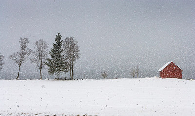 BUITEN BEELD Foto: 224665