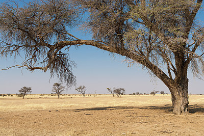 BUITEN BEELD Foto: 224675