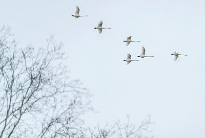 BUITEN BEELD Foto: 224706