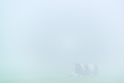 BUITEN BEELD Foto: 224708