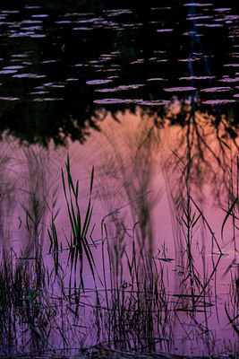 BUITEN BEELD Foto: 224712