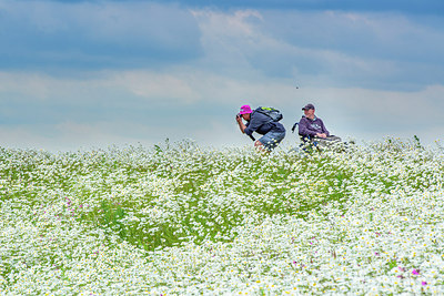 BUITEN BEELD Foto: 224713