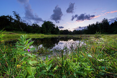 BUITEN BEELD Foto: 224724