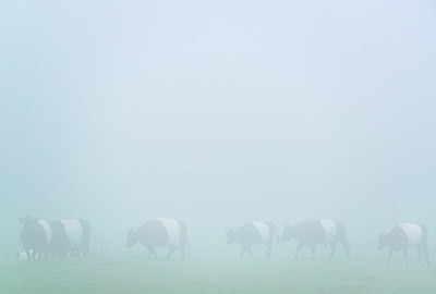 BUITEN BEELD Foto: 224732