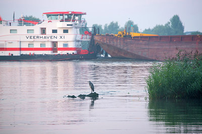 BUITEN BEELD Foto: 224754