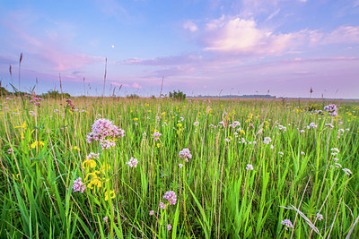 BUITEN BEELD Foto: 224762