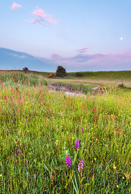 BUITEN BEELD Foto: 224792