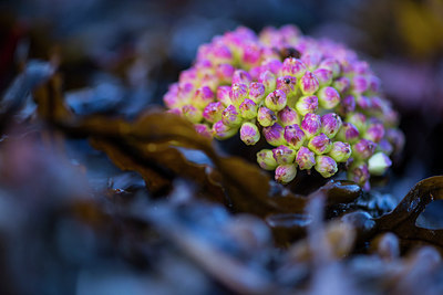 BUITEN BEELD Foto: 224795