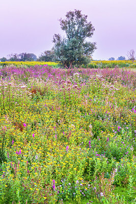 BUITEN BEELD Foto: 224798