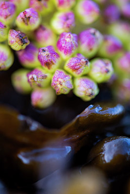 BUITEN BEELD Foto: 224800