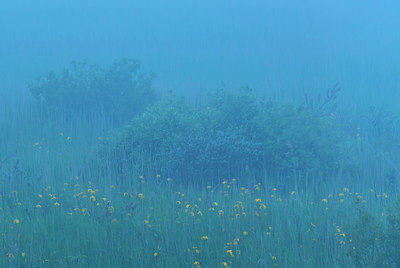BUITEN BEELD Foto: 224801