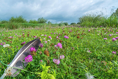 BUITEN BEELD Foto: 224810