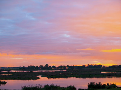 BUITEN BEELD Foto: 224852