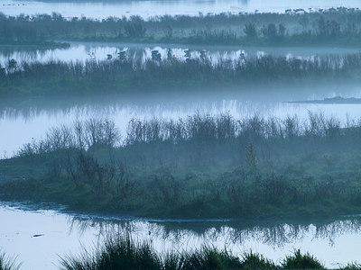 BUITEN BEELD Foto: 224861