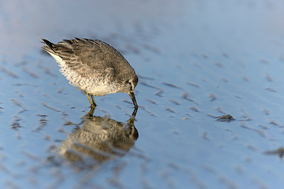 BUITEN BEELD Foto: 224888