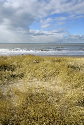 BUITEN BEELD Foto: 224891