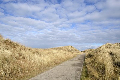 BUITEN BEELD Foto: 224894