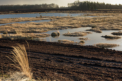 BUITEN BEELD Foto: 225006