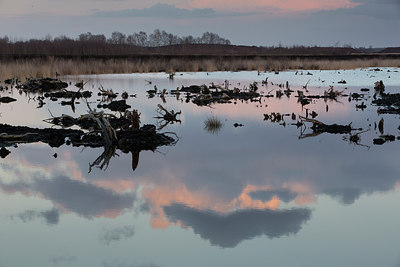 BUITEN BEELD Foto: 225012