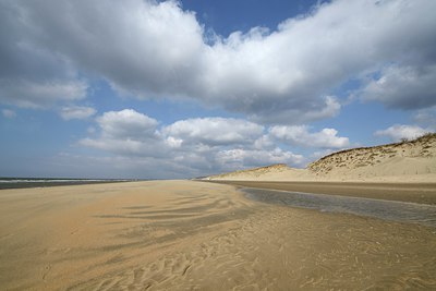 BUITEN BEELD Foto: 225017