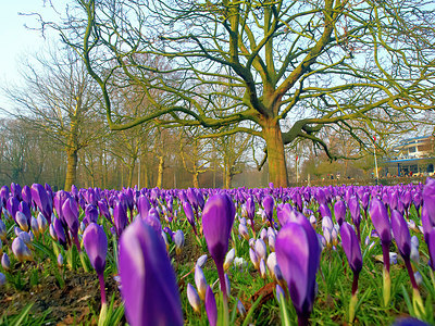 BUITEN BEELD Foto: 225030