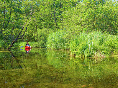BUITEN BEELD Foto: 225040