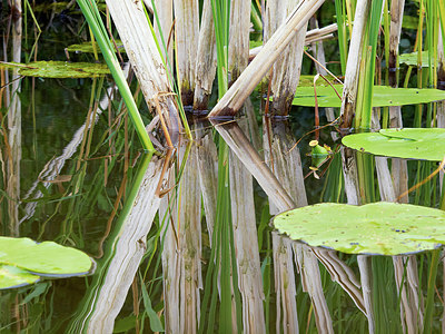 BUITEN BEELD Foto: 225085