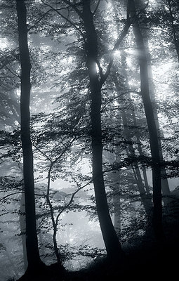 BUITEN BEELD Foto: 225093