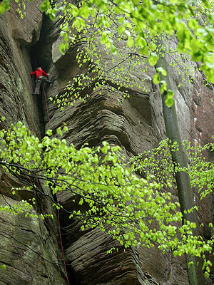 BUITEN BEELD Foto: 225223