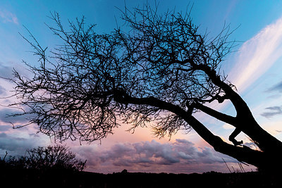 BUITEN BEELD Foto: 225312