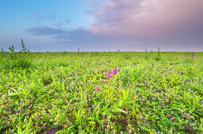 BUITEN BEELD Foto: 225313
