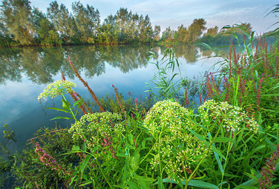 BUITEN BEELD Foto: 225363