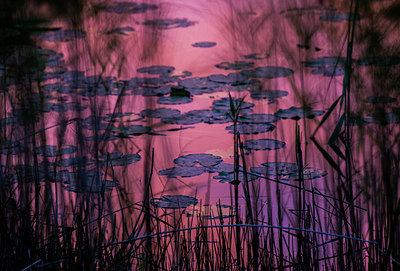 BUITEN BEELD Foto: 225391