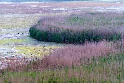 BUITEN BEELD Foto: 225395