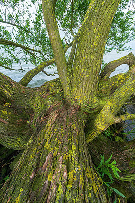 BUITEN BEELD Foto: 225397