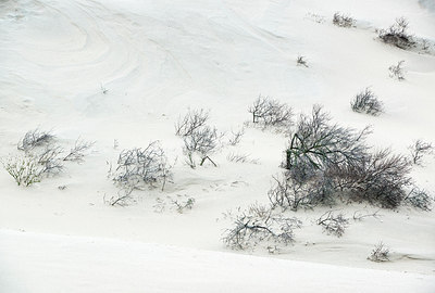 BUITEN BEELD Foto: 225398