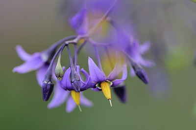 BUITEN BEELD Foto: 225412