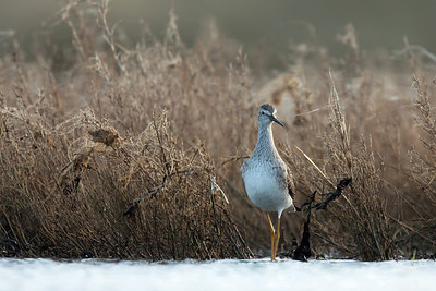 BUITEN BEELD Foto: 225494