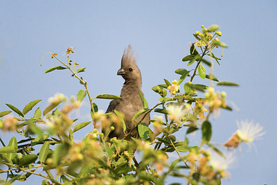 BUITEN BEELD Foto: 225513