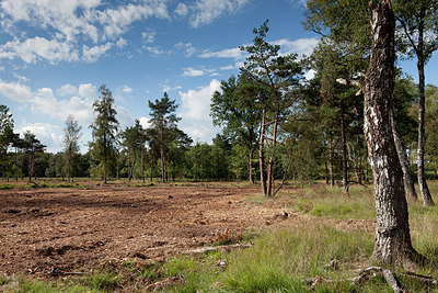 BUITEN BEELD Foto: 225598