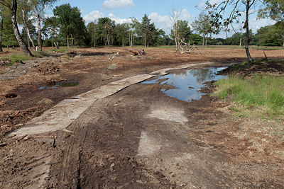 BUITEN BEELD Foto: 225601