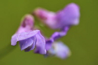 BUITEN BEELD Foto: 225681