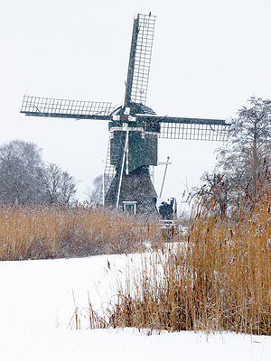BUITEN BEELD Foto: 225714
