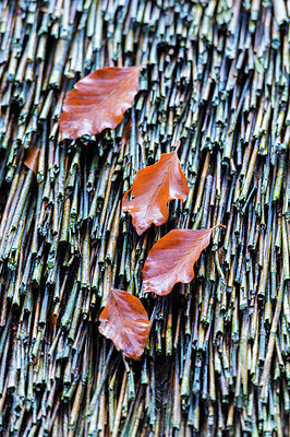 BUITEN BEELD Foto: 225781