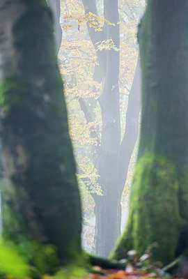 BUITEN BEELD Foto: 225799