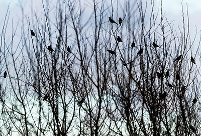 BUITEN BEELD Foto: 225803