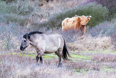 BUITEN BEELD Foto: 225809