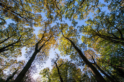 BUITEN BEELD Foto: 225842