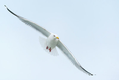 BUITEN BEELD Foto: 225848